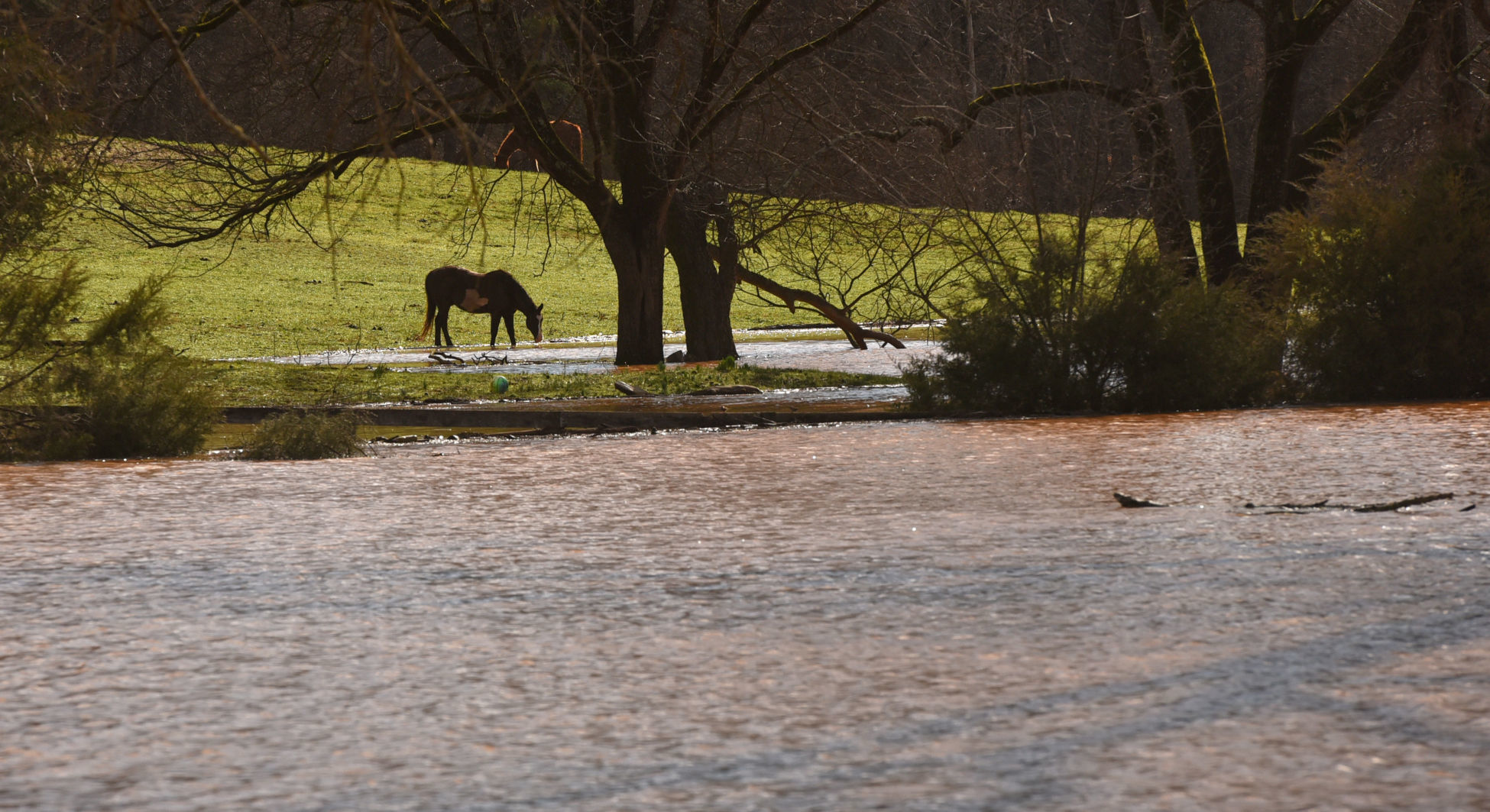 Yadkin River flooding